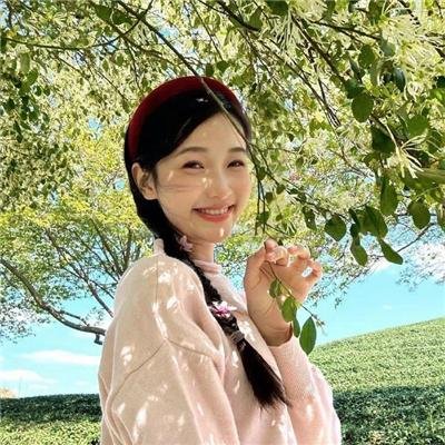 哈里·蒙特